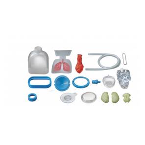 4M KidzLabs Human Organs / Organlarimiz