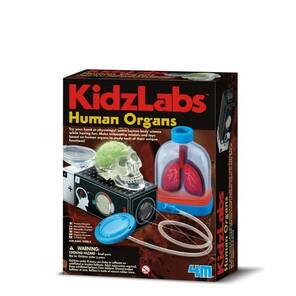 4M KidzLabs Human Organs / Organlarimiz