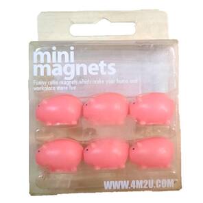 4M2U - Mini Magnetler - Domuzcuk - 6'lı