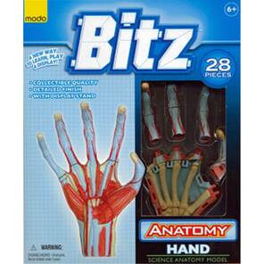 Bitz İnsan Anatomisi El 28 Parça