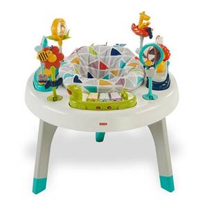 Fisher Price Aktivite Merkezi FDV25
