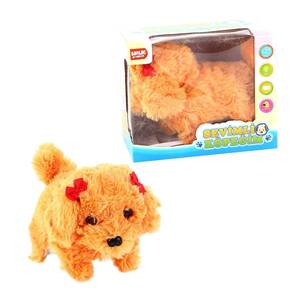 Pilli Kutuda Sevimli Köpeğim